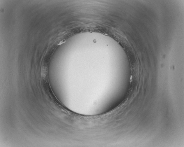 X0000060260033200511112033