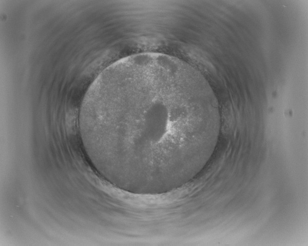 X0000060260034200511112033