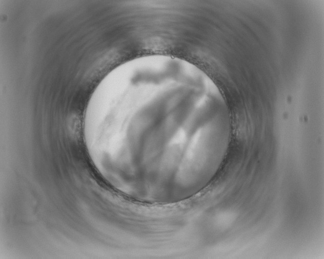 X0000060260036200511112032