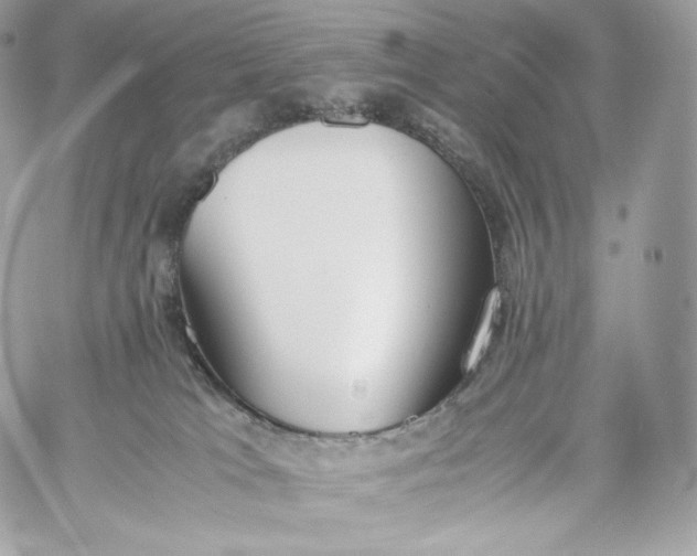 X0000060260037200511112032