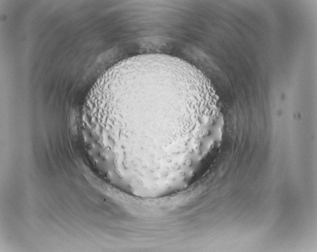 X0000060260038200511112032