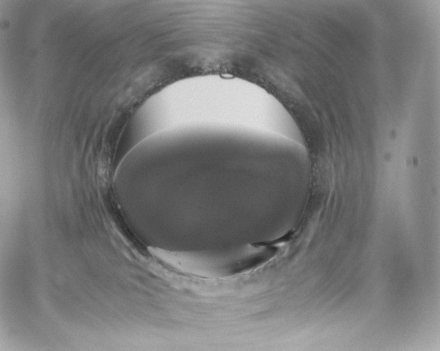 X0000060260039200511112032