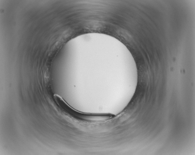 X0000060260040200511112032