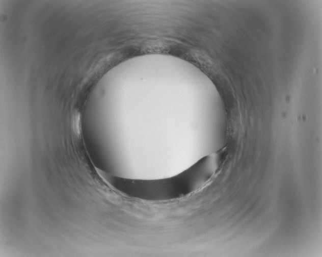 X0000060260041200511112032