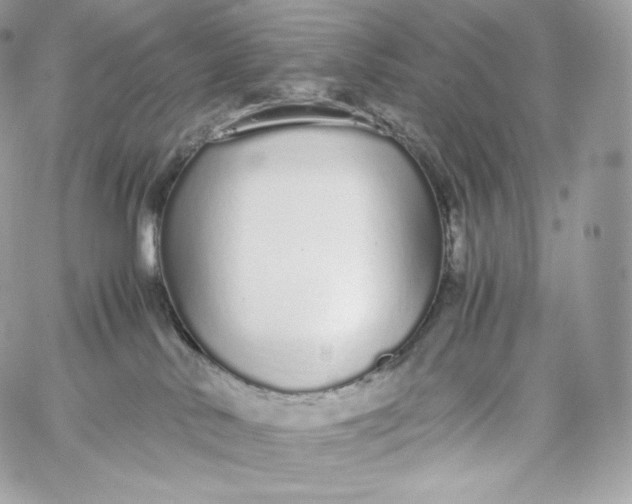 X0000060260042200511112032