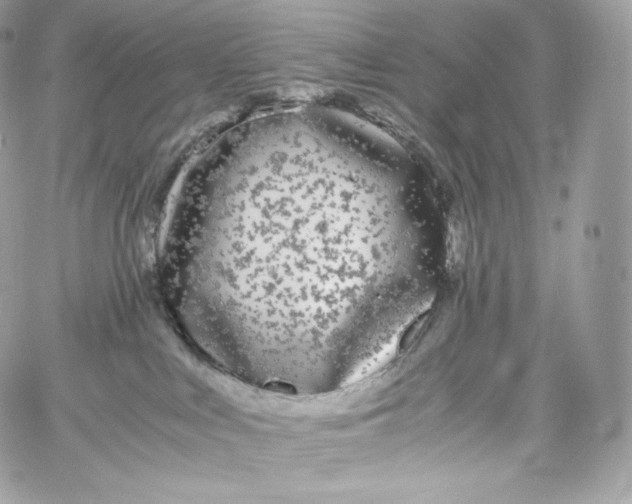 X0000060260043200511112032