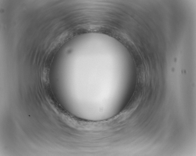 X0000060260044200511112032