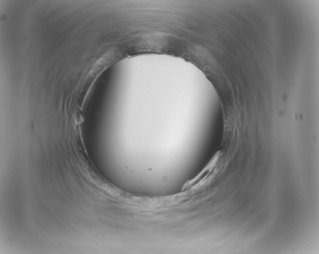 X0000060260045200511112032