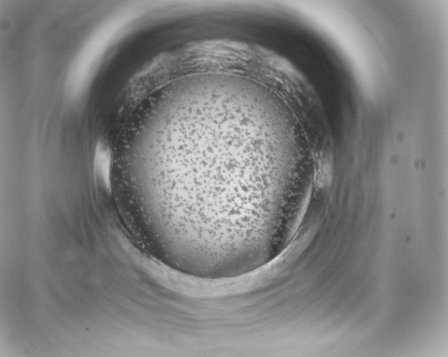 X0000060260047200511112032