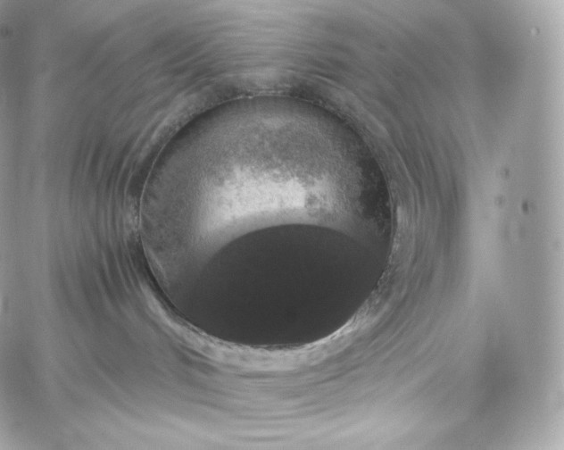 X0000060260048200511112032