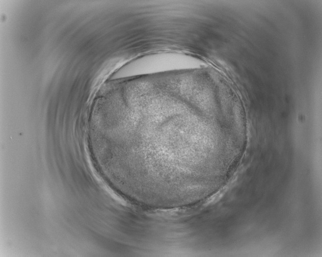 X0000060260049200511112031