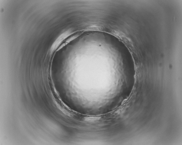 X0000060260051200511112032