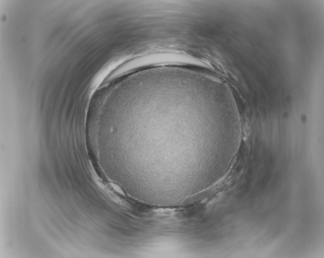 X0000060260052200511112032