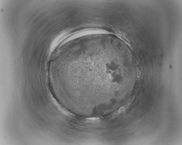 X0000060260053200511112032