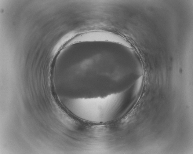 X0000060260054200511112032