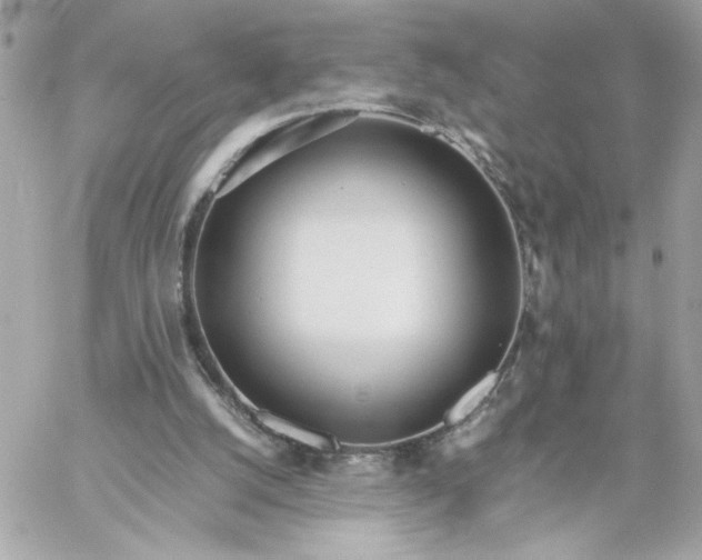 X0000060260056200511112032