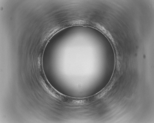 X0000060260057200511112032