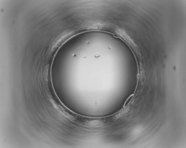 X0000060260058200511112032