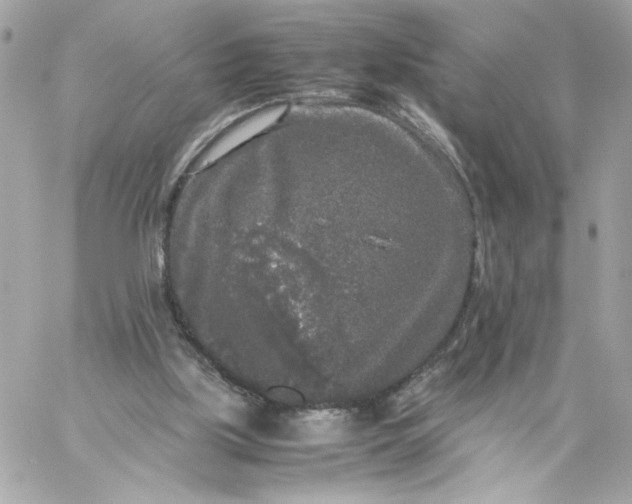 X0000060260059200511112032