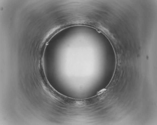 X0000060260060200511112032