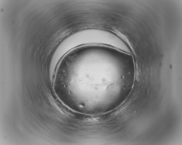 X0000060260061200511112032