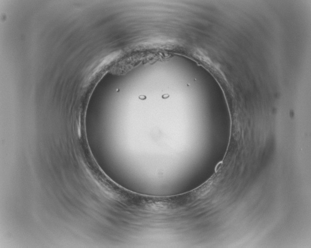 X0000060260062200511112032