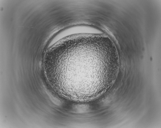 X0000060260063200511112032