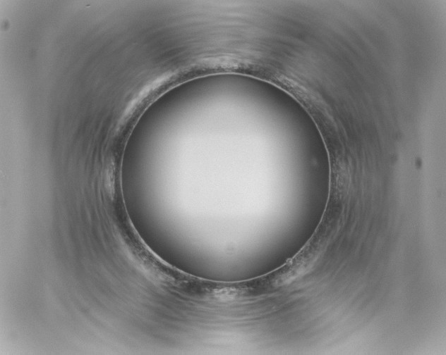 X0000060260064200511112032