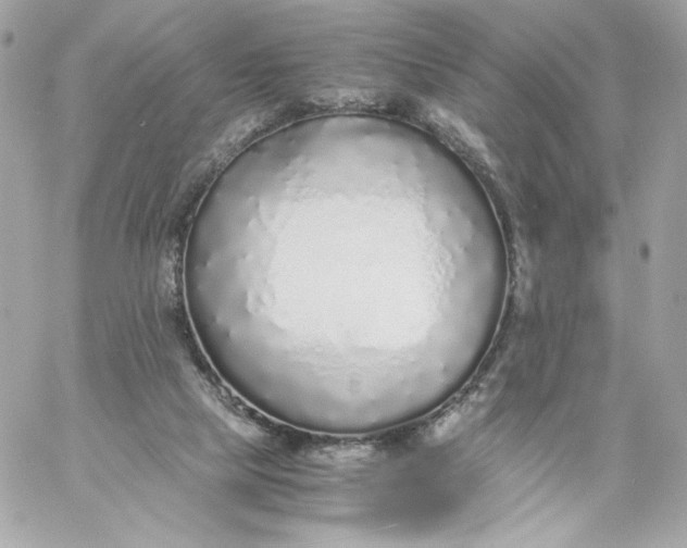 X0000060260065200511112032