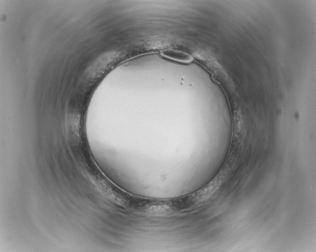 X0000060260066200511112032