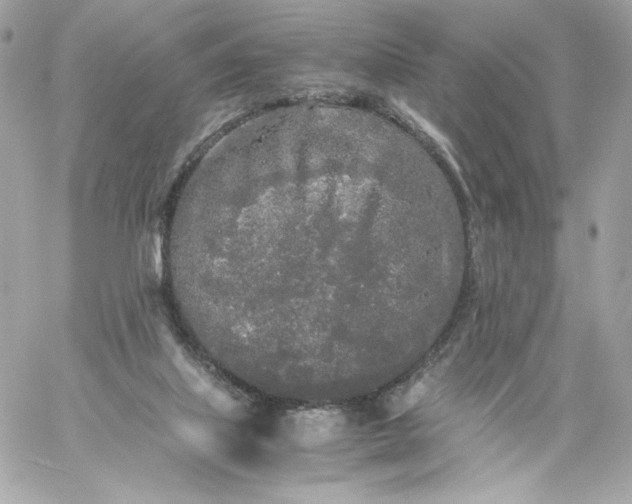 X0000060260067200511112032