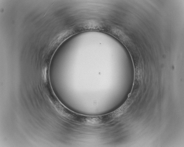 X0000060260070200511112032