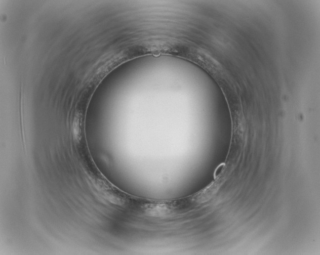 X0000060260074200511112032