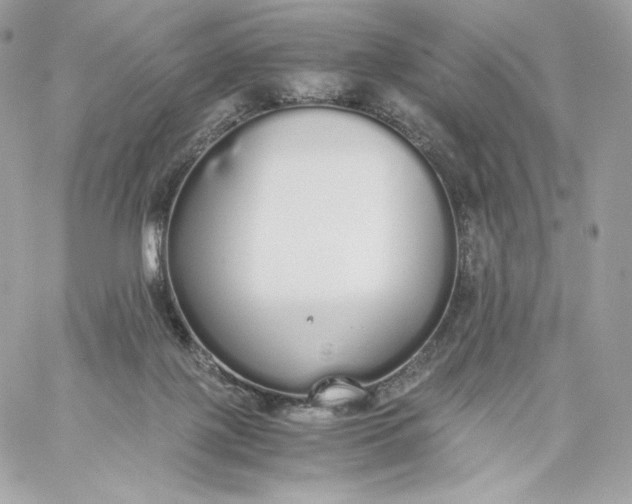 X0000060260075200511112032