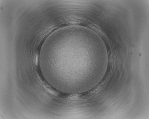 X0000060260076200511112032