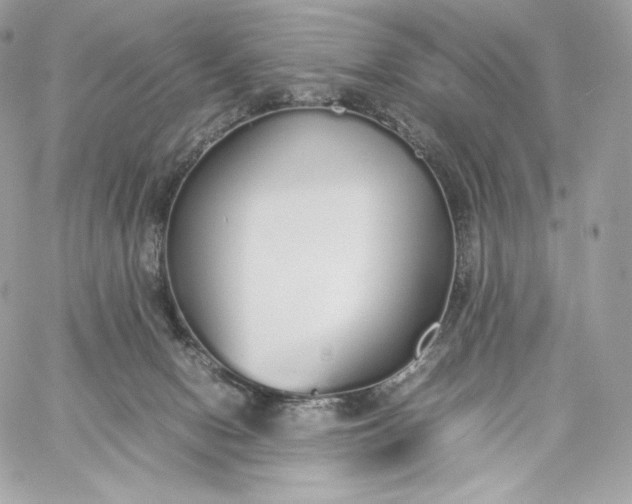 X0000060260078200511112032