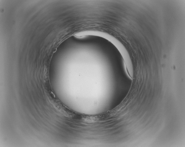 X0000060260079200511112032