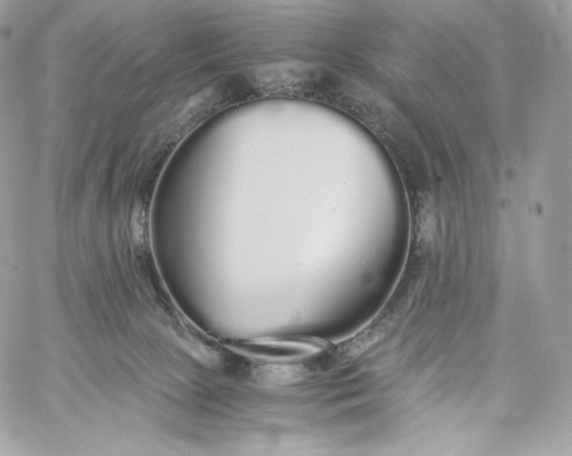 X0000060260081200511112032