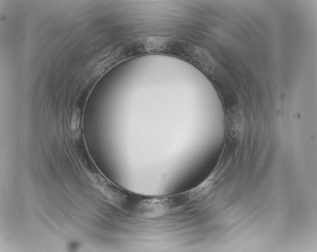 X0000060260082200511112032