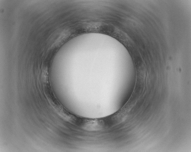 X0000060260083200511112032