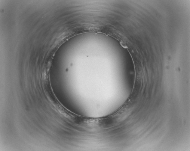 X0000060260084200511112032