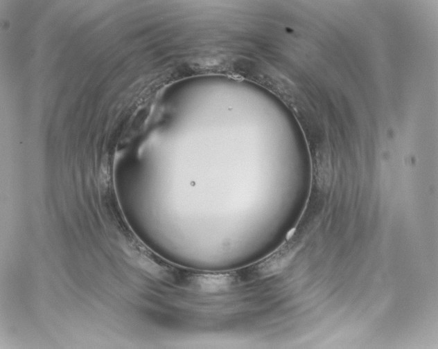 X0000060260085200511112032