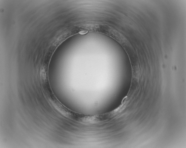 X0000060260086200511112032