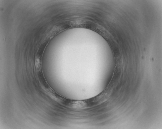 X0000060260087200511112032