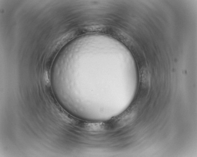 X0000060260089200511112032