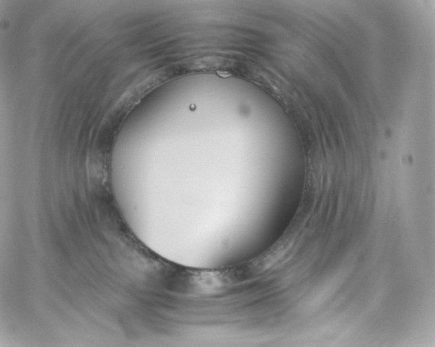 X0000060260091200511112032