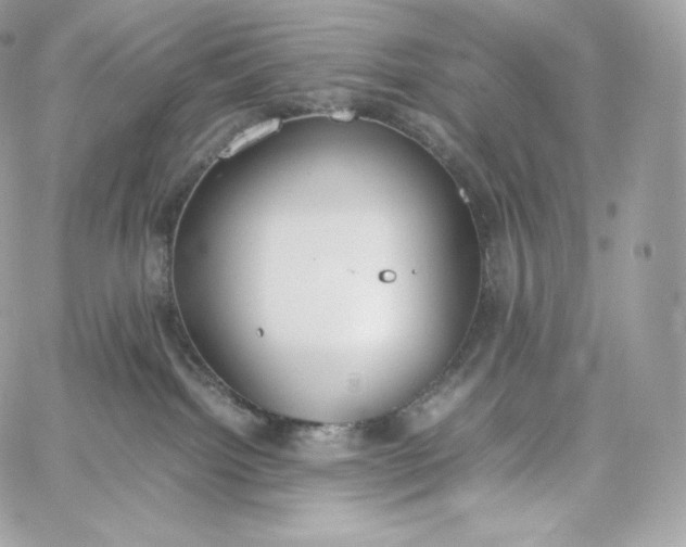 X0000060260092200511112032