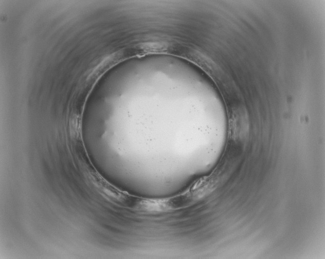 X0000060260093200511112032