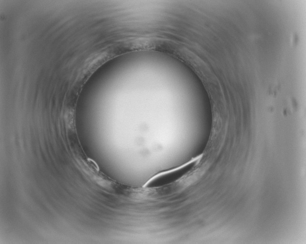 X0000060260096200511112032