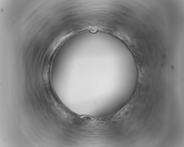 X0000060260098200511112031